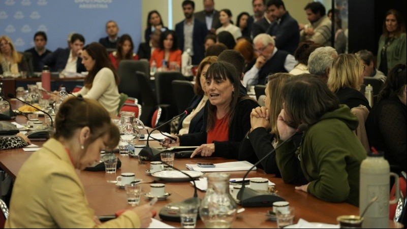 Romina Del Plá, diputada nacional. 
