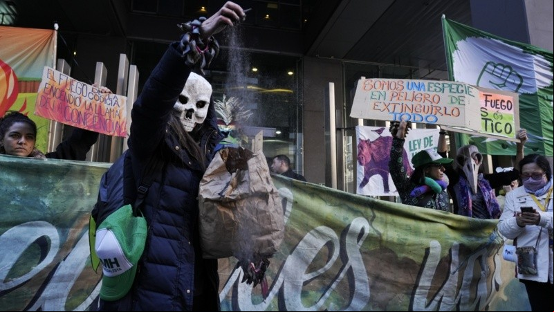 La marcha de los ambientalistas en reclamo de la ley de humedales.
