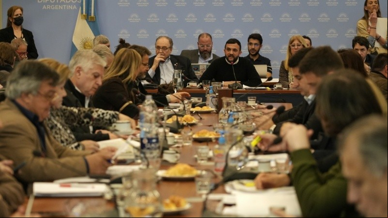 El plenario de comisiones reunido.