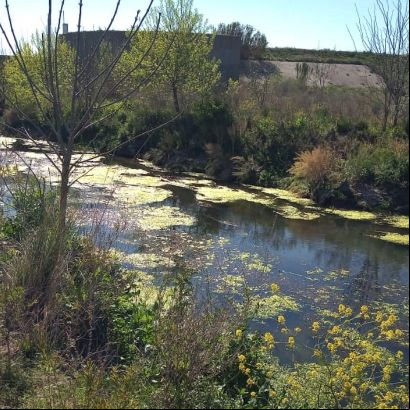 La creación de una reserva sigue cajoneada mientras debaten un proyecto en zona inundable del Ludueña