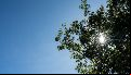 El clima en Rosario: jueves soleado y agradable por la tarde antes de las lluvias