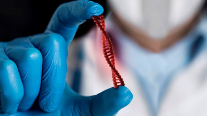Las variantes genéticas pueden modificar la expresión y función de las proteínas, incluso aquellas encargadas de la metabolización de los medicamentos.