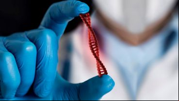 Las variantes genéticas pueden modificar la expresión y función de las proteínas, incluso aquellas encargadas de la metabolización de los medicamentos.