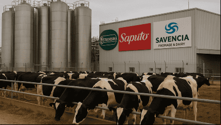 Radiografía del sector lácteo argentino