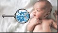 Estos hallazgos contribuyen a estrategias de investigación y prevención de enfermedades respiratorias infantiles.